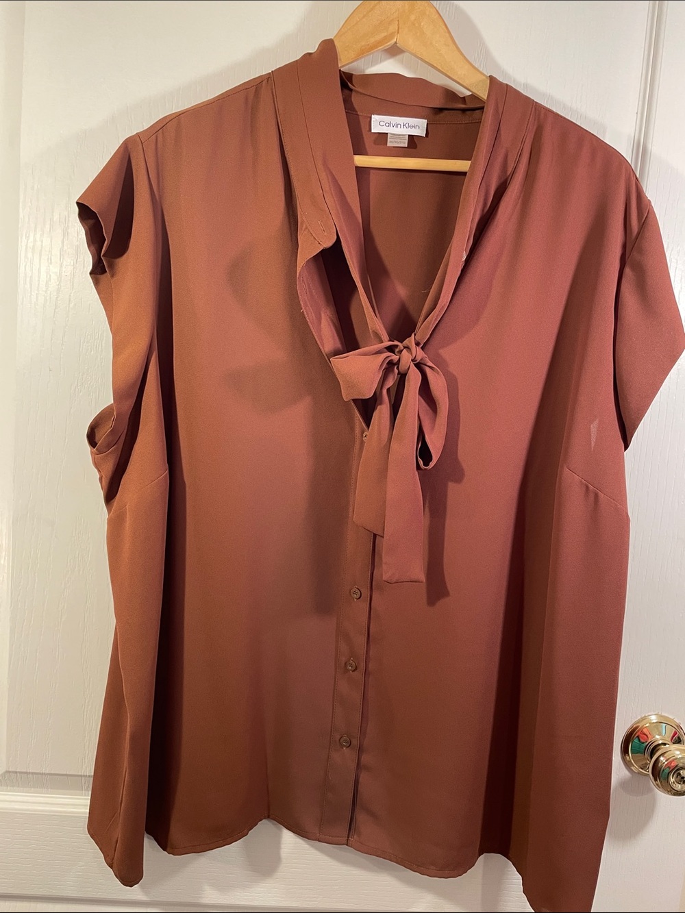 Calvin Klein Rust Tie-Neck Cap Sleeve Blouse